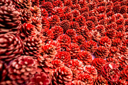 Background of fresh red flower petalsの写真素材