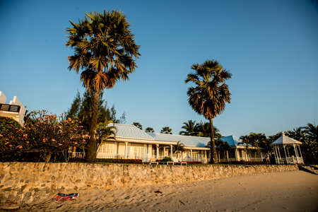 White resort and palm tree on the beachのeditorial素材