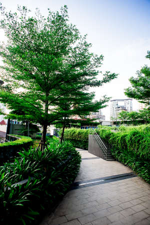 Garden Walkway,Beautiful fairy walkway with wide trees. Vibrant green colors.の写真素材