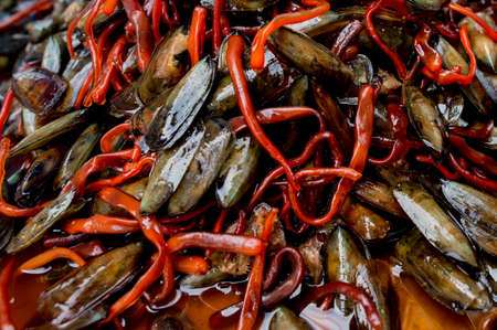Pickled Mussels,mussel,Freshly prepared blue musselsの写真素材
