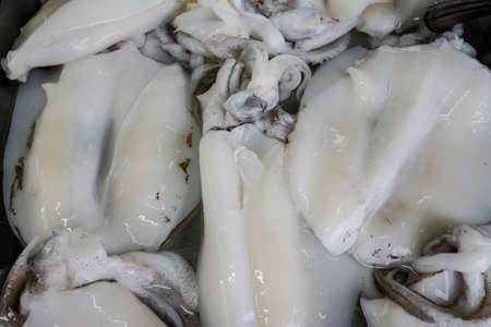Fresh Squid on a market stall