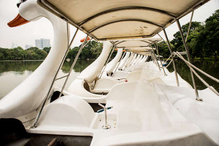 Swan Boat ride