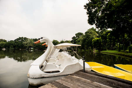 Swan Boat ride