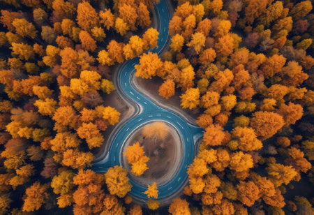 Aerial view of the road in the autumn forest. Drone photographyの素材