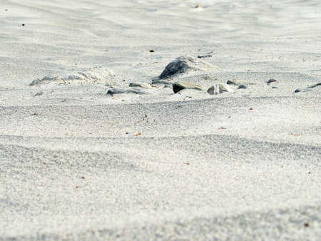 Desert surface with sand waves and stones, texture. Area in Altai mountains. Cloudy weather, summer.の写真素材