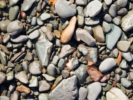 Many half-dry stones different forms and color. Daylight, close-up, limestones and some volcanic.