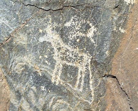 Petroglyphs of the late bronze age. Tarhatinsky megalithic complex, Chuya steppe, Mountain Altai.の写真素材