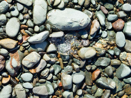 Many half-dry stones different forms and color with ice int the center of shot. Daylight, close-up,...