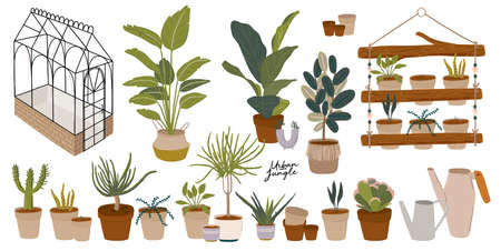 Trendy Scandinavian Urban Greenery at Home Jungle Interior with home decorations. Cozy Home Garden furnished in Hygge style. Crazy Plant Lady illustration. Isolated Vectorのイラスト素材
