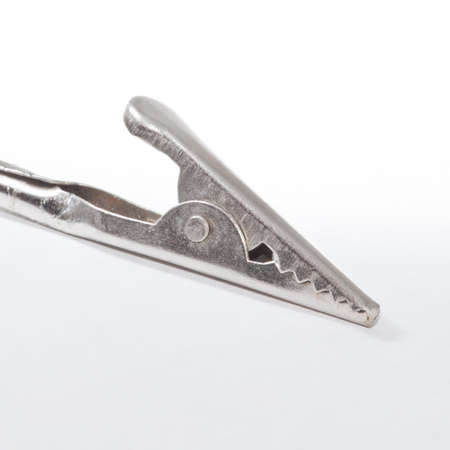 A crocodile clip shot against a white background.の写真素材