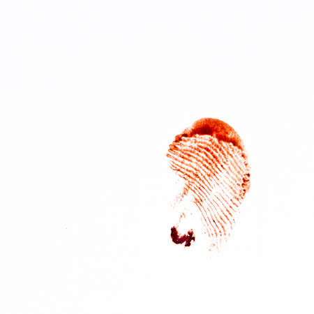 A bloody fingerprint, shot against a white background.の写真素材