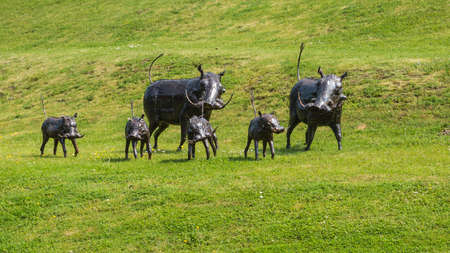 Metallic wild boar like creatures roaming about Exbury gardens!の写真素材