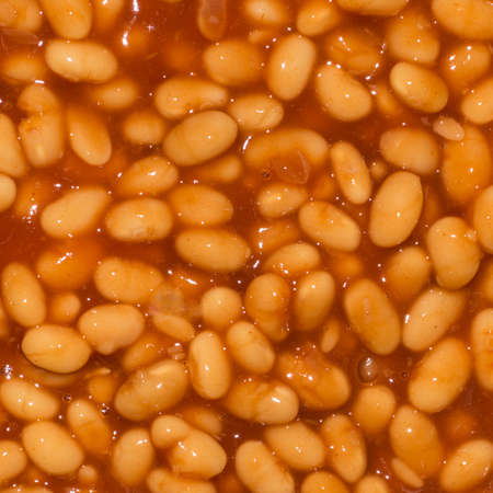 A close-up shot of some baked beans in tomato sauce の写真素材
