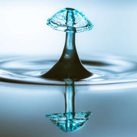 A macro shot of a water drop collision that looks like a mushroom 