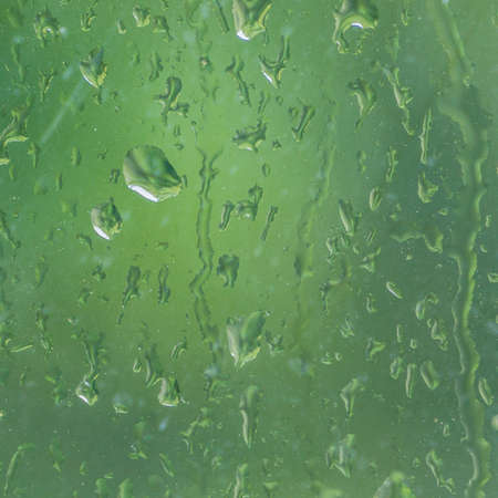 A macro shot of a rainy window.の写真素材