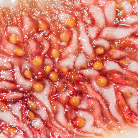 A macro shot of the inside of a fig fruit.