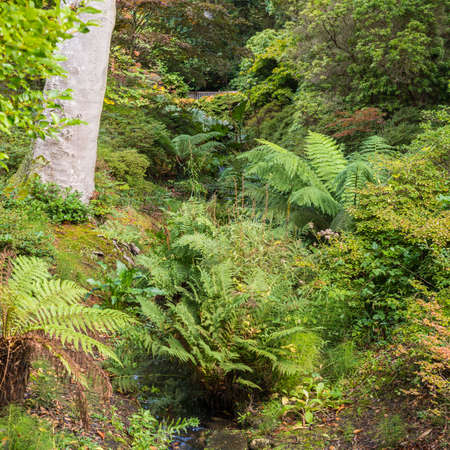 A view through some vegetation towards a seated area 