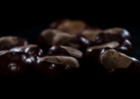 A collection of horse chestnuts shot against a black background using low key lighitng.