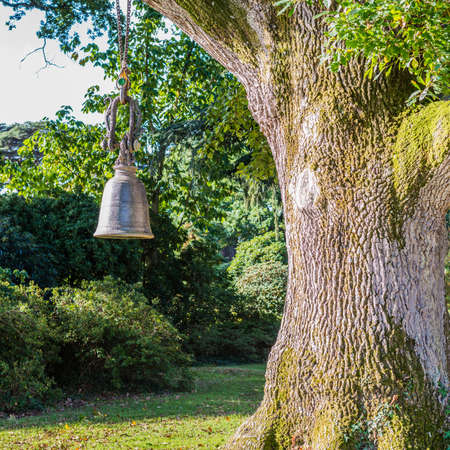 A shot of a large bell hanging from a Burmese bell oak tree.の写真素材
