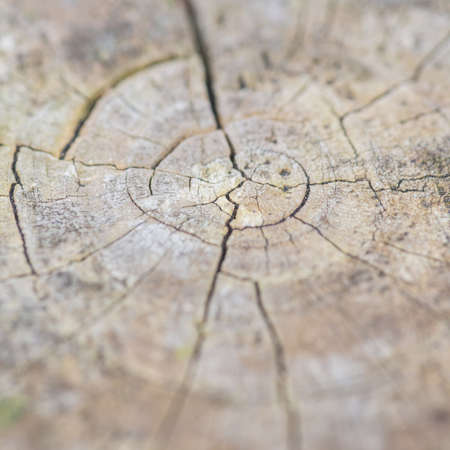 An abstract macro shot of the top of a fence post.の写真素材