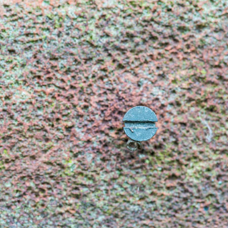 An abstract macro shot of a single screw in some brickwork.の写真素材