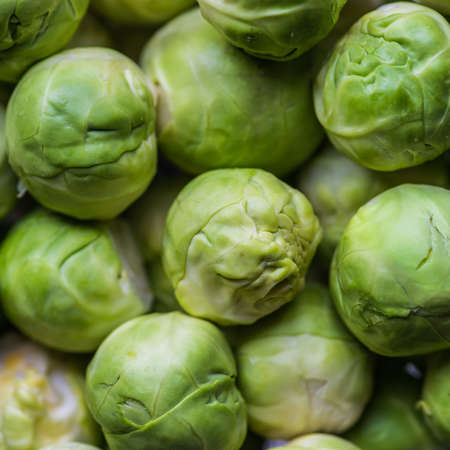 A macro shot of some sprouts.