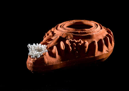 A macro shot of an unlit olive oil lamp.