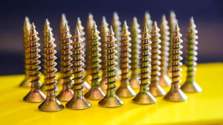 A macro shot of a collection of copper screws.