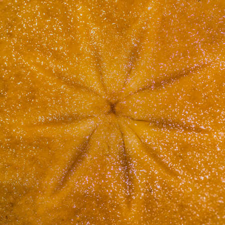 A macro shot of a cross-section of a persimmon fruit.の写真素材
