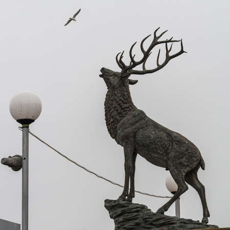 A shot of a stag statue at Hartlepool marina, UK.の写真素材