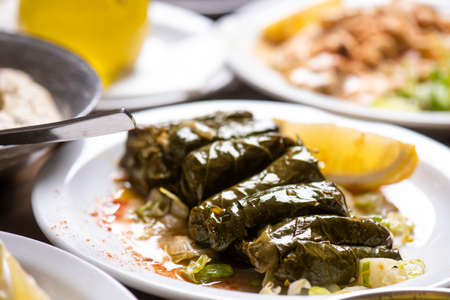 Stuffed vine leaves with (lebanese cuisine)の写真素材
