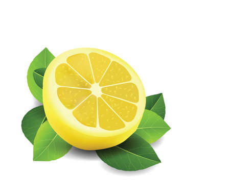 Sliced Lemon Isolated on white のイラスト素材