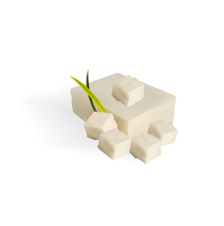 Tofu Isolated on White - Vector Realistic Illustrationのイラスト素材