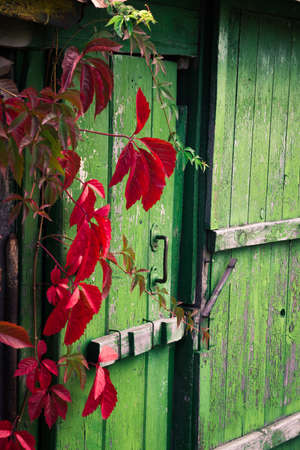 Old wooden doorの写真素材