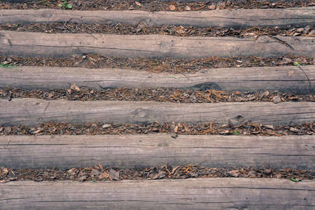 Lumber with dead soil coverの写真素材