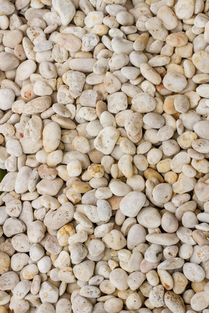 White river stone for decoration, texture, interiorの写真素材