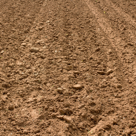 soil prepared for agriculture in northern thailandの写真素材
