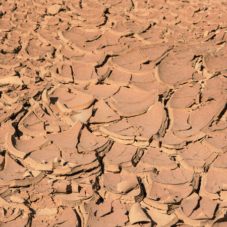 cracked dry land