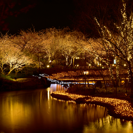 Mie, Japan - March 4, 2015: Nabana no sato winter illumination in Mie province is one of Japan's largest illumination parks.