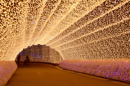 Mie, Japan - March 4, 2015: Nabana no sato winter illumination in Mie province is one of Japan's largest illumination parks.のeditorial素材