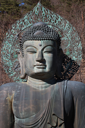 A ancient metal carving of sitting peace buddha in front of tree mountain and painted with green color at large historical temple at south koreaの写真素材