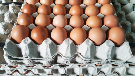 backgrounds of fresh brown eggs on paper tray for sale at a floadting marketの写真素材