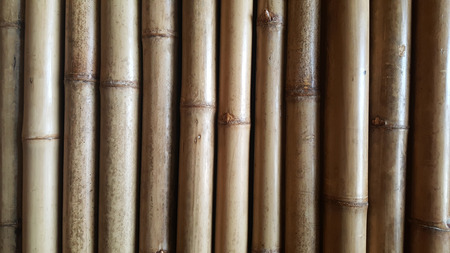 close-up Bamboo texture and side shadows with natural patterns backgrounds for announcement decoration wallpaperの写真素材