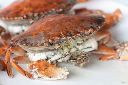 boiled stone Crab body builder. Cheliped of the crab, prepared raw shell animal at homemade gourmet restaurant, food stylist menu backgroundsの写真素材