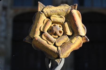 Antique ancient steel metal yellow rose flower, home decoration backgrounds, attractive pictureの写真素材