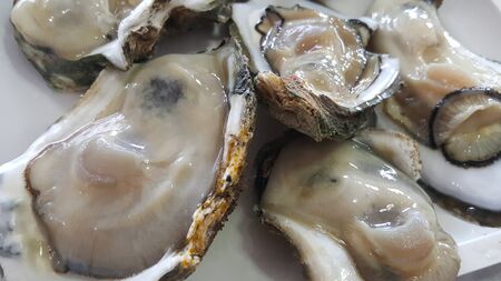 Group of Raw Fresh close up giant open oysters in a Shell serving on the white plate, Freshness seafood from fishery boat at fresh market, food backgroundsの写真素材