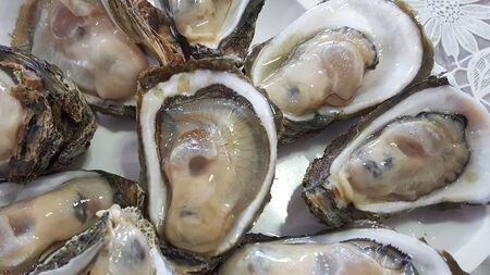 Group of Raw Fresh close up giant open oysters in a Shell serving on the white plate, Freshness seafood from fishery boat at fresh market, food backgroundsの写真素材