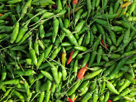 organic fresh green Chili Peppers at fresh opened market, nature ingredient backgrounds