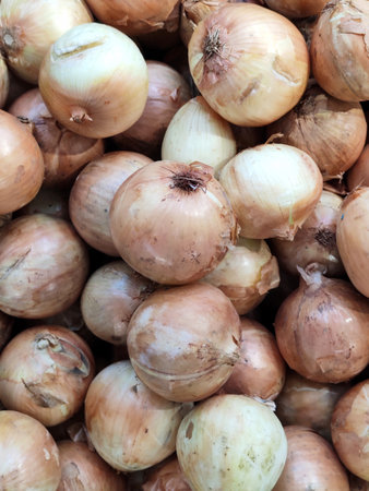 top view of a layer of yellow organic unbruised onion at uptown farm in summer, advertising backgroundsの写真素材