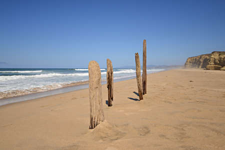 Wooden Stake On The Beachの写真素材